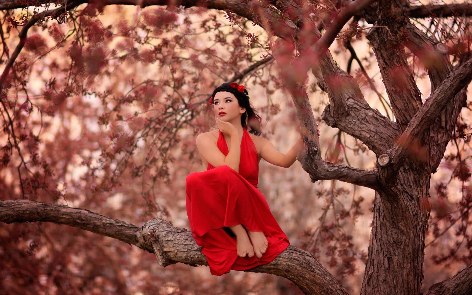 Red-dress-girl-on-the-tree_1920x1200.jpg