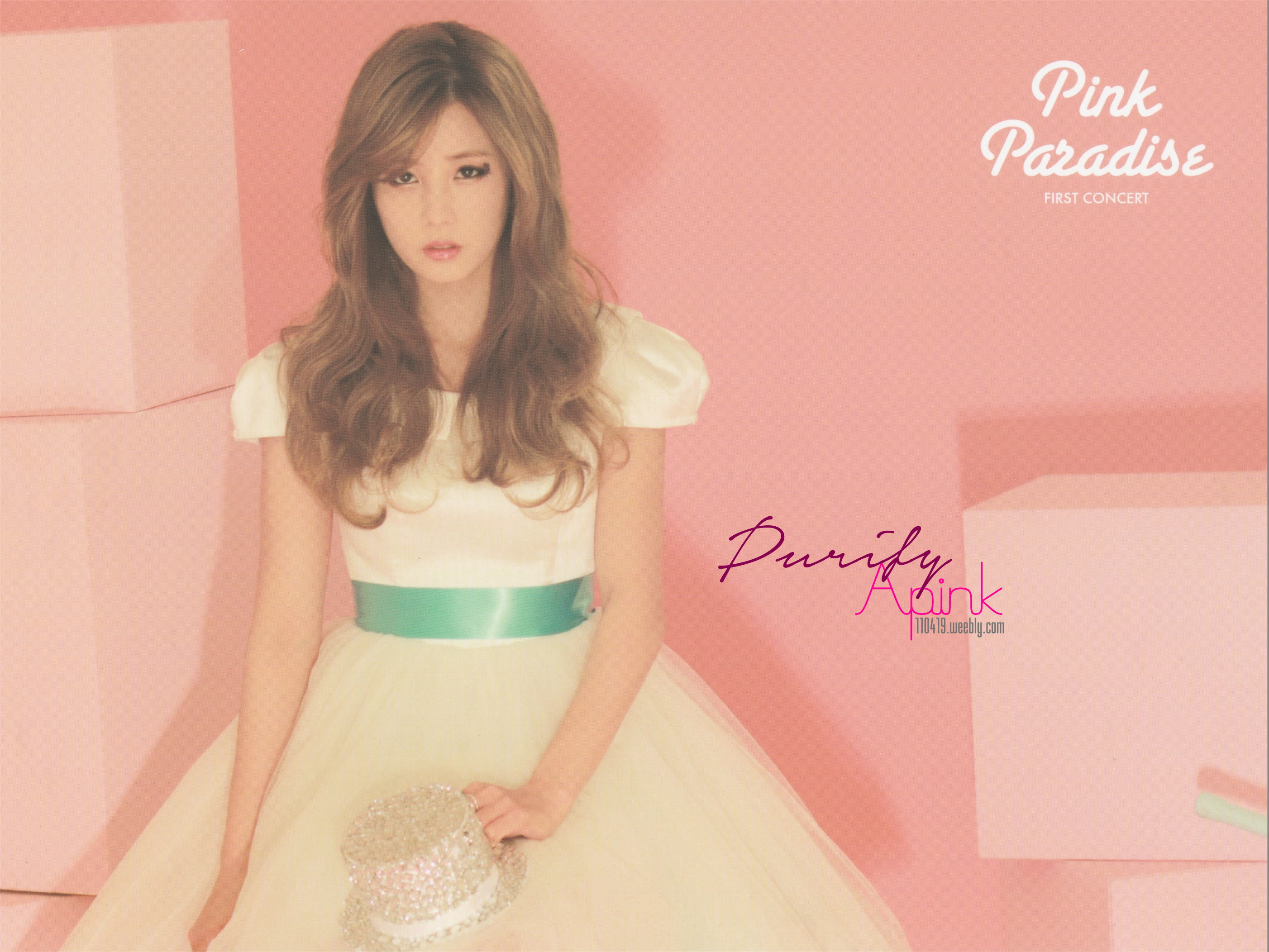 Pink Paradise DVD 에이핑크 미니 포스터 스캔본 02.jpg