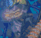 MDMgs.gif MDMgs.gif