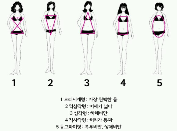 5가지 여자 몸매 유형.png