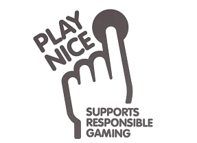 책임감 있는 게임